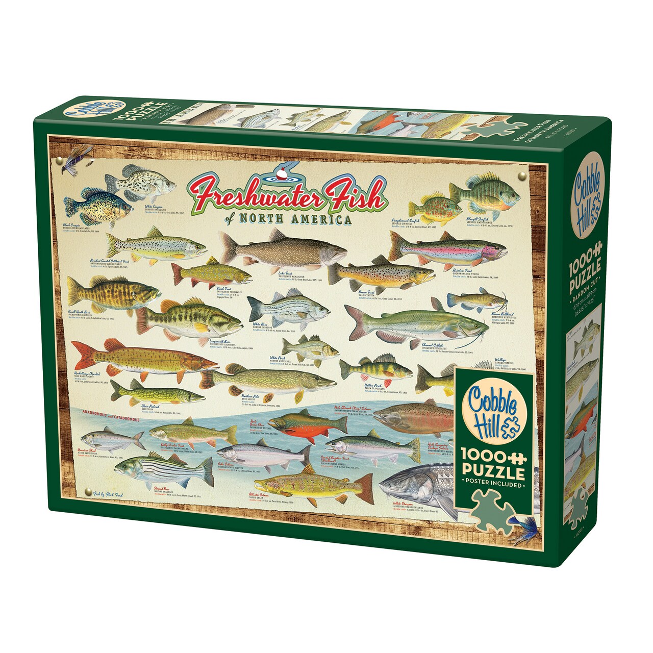 Cobble Hill 1000 Piece Puzzle: Freshwater Fish Of North America - Reference Poster Included, High Quality Jigsaw